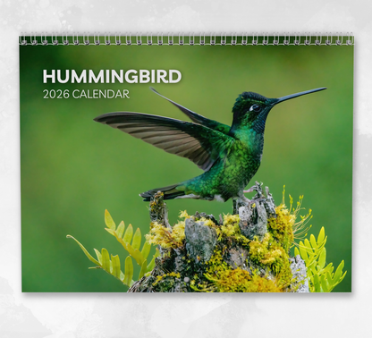 Hummingbird Calendar 2026