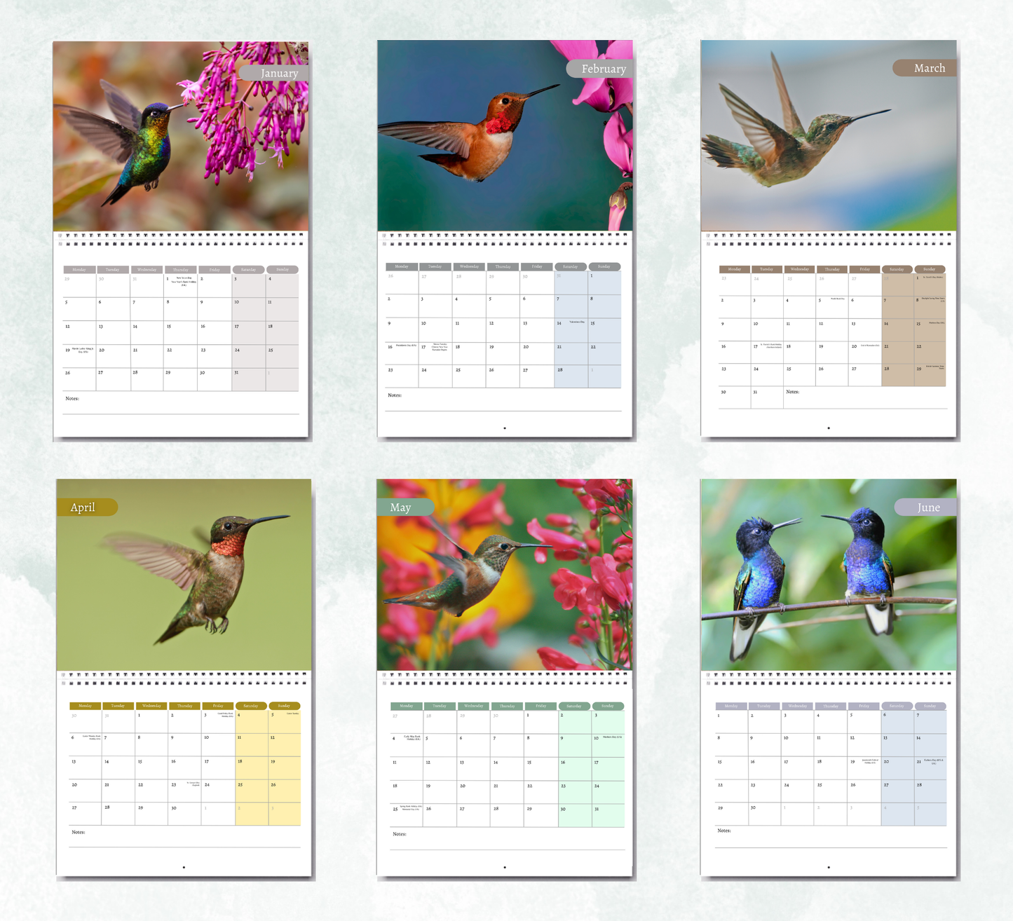 Hummingbird Calendar 2026