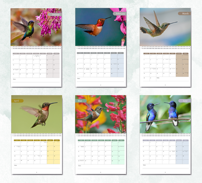 Hummingbird Calendar 2026