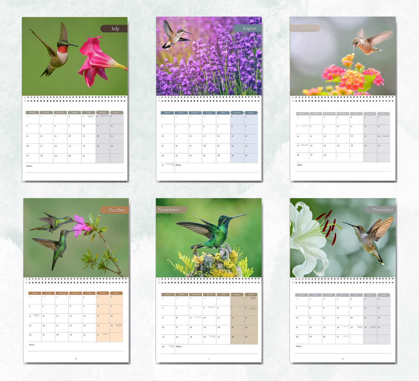 Hummingbird Calendar 2026