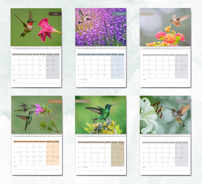 Hummingbird Calendar 2026
