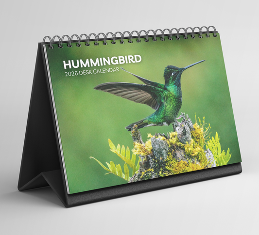 Hummingbird Desk Calendar 2026-2027