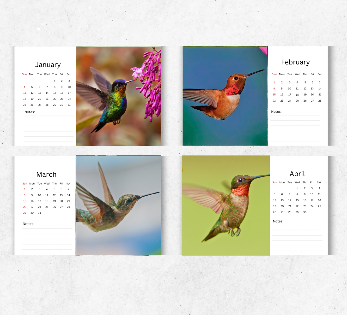 Hummingbird Desk Calendar 2026-2027