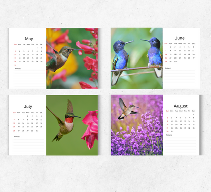 Hummingbird Desk Calendar 2026-2027