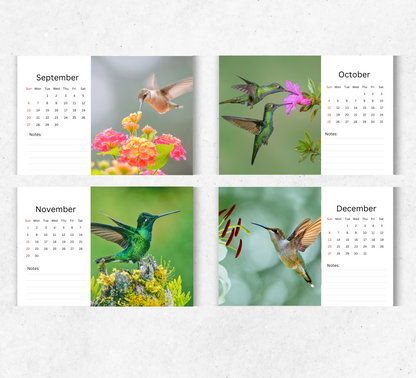 Hummingbird Desk Calendar 2026-2027
