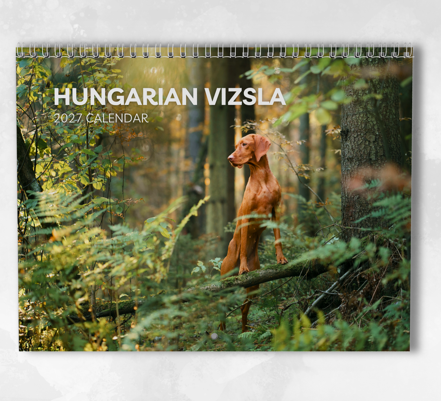 Hungarian Vizsla Calendar 2027