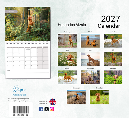 Hungarian Vizsla Calendar 2027