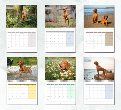 Hungarian Vizsla Calendar 2027