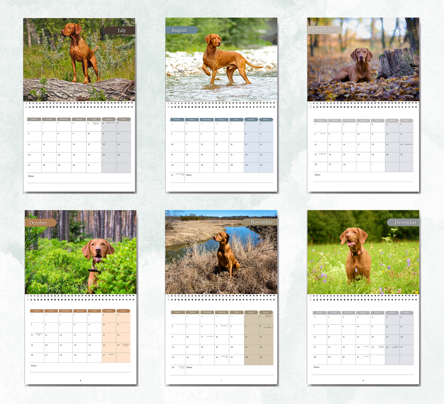 Hungarian Vizsla Calendar 2027