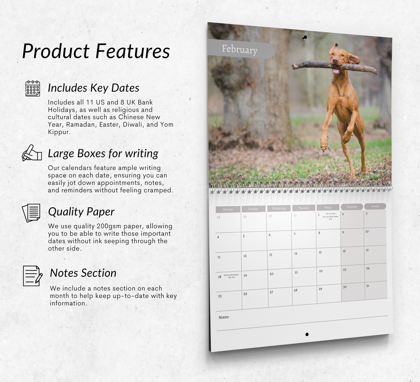 Hungarian Vizsla Calendar 2027