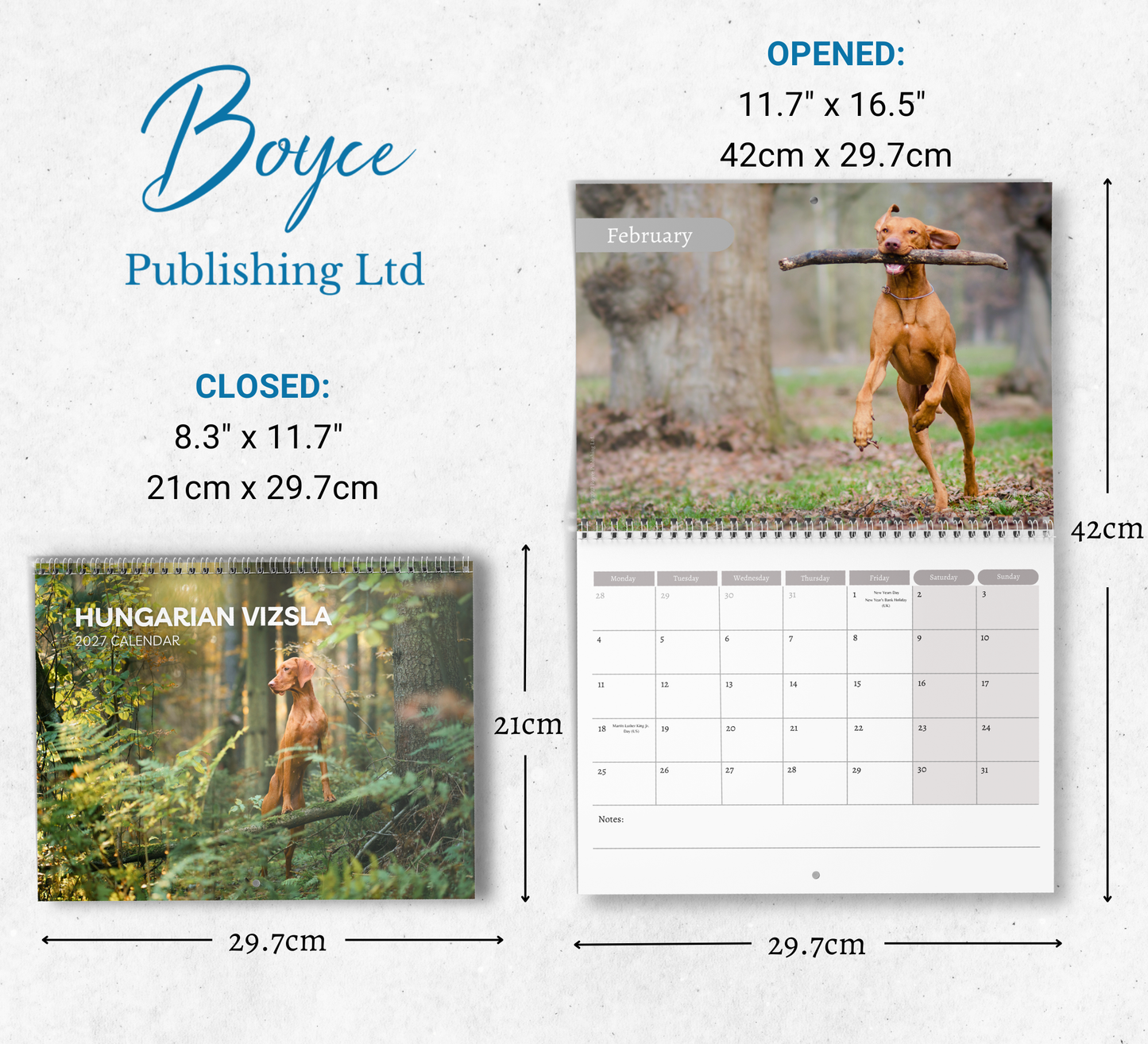 Hungarian Vizsla Calendar 2027