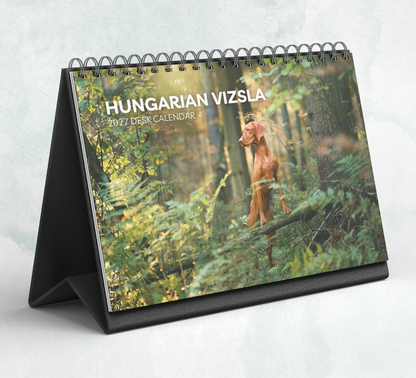 Hungarian Vizsla Desk Calendar 2027-2028