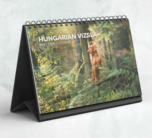 Hungarian Vizsla Desk Calendar 2027-2028