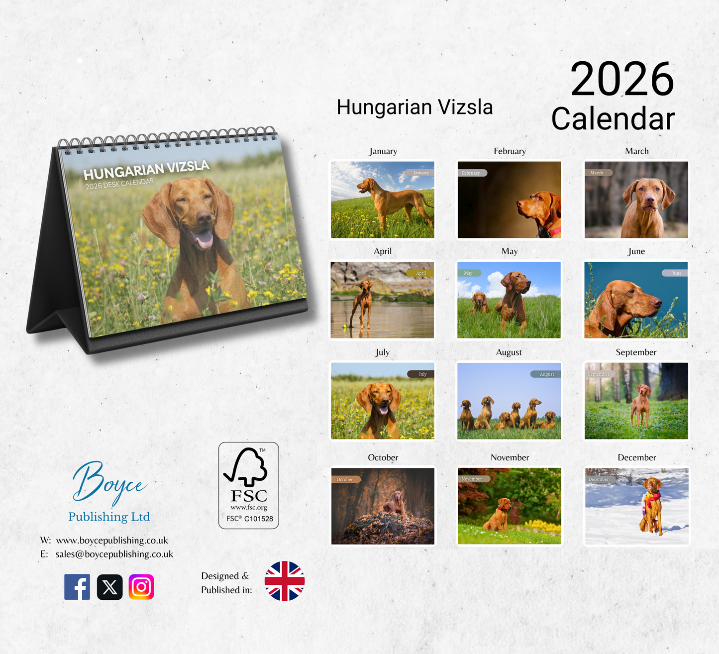 Hungarian Vizsla Desk Calendar 2026-2027