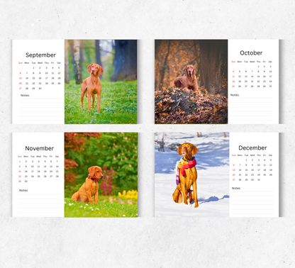 Hungarian Vizsla Desk Calendar 2026-2027