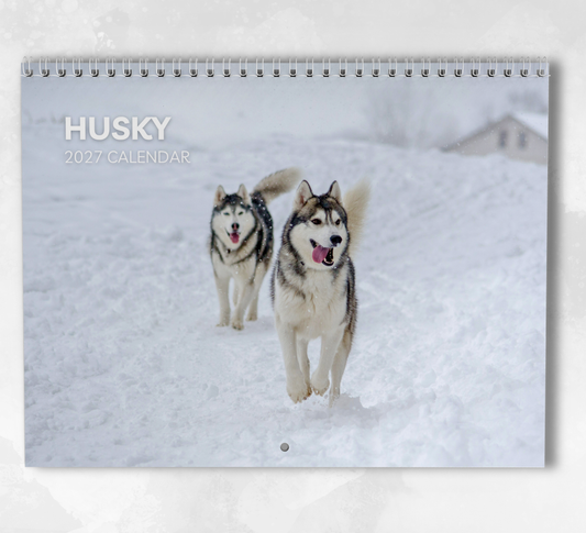 Husky Calendar 2027