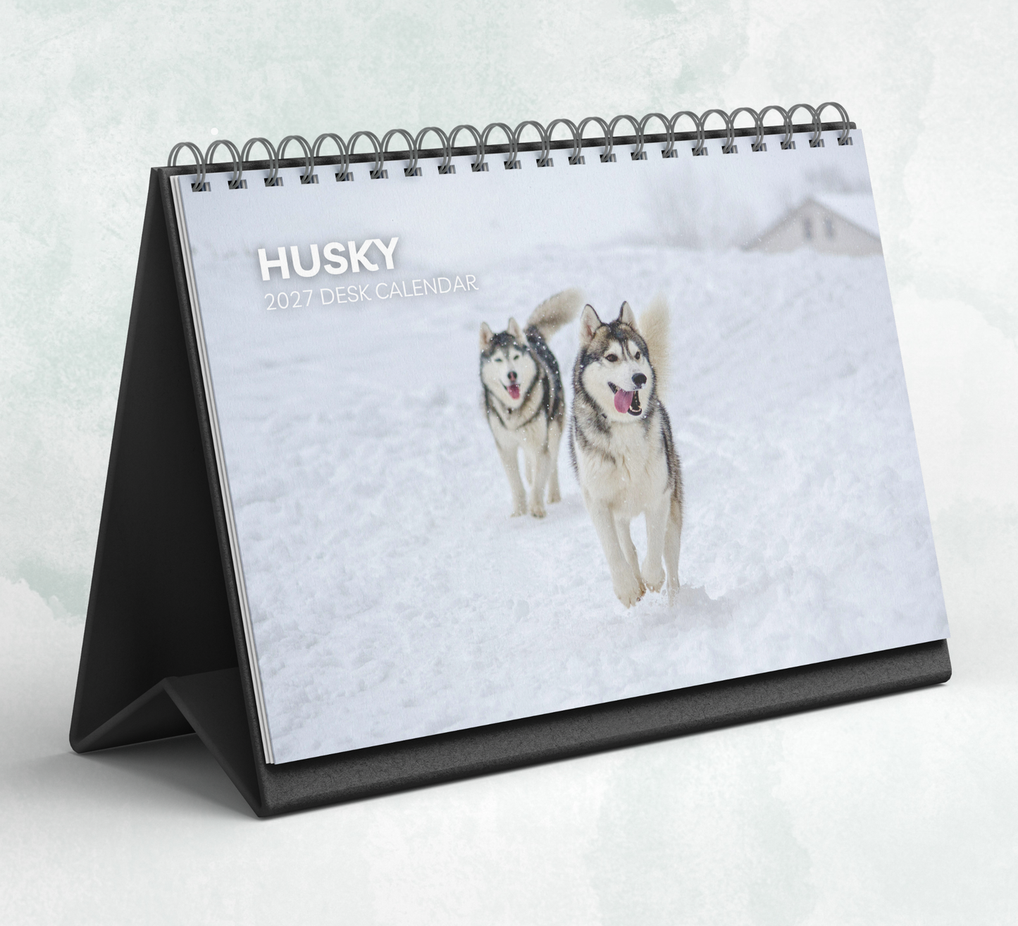 Husky Desk Calendar 2027-2028