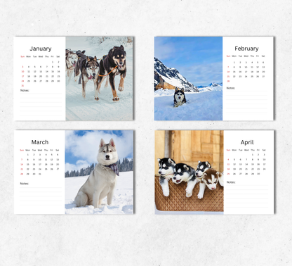 Husky Desk Calendar 2027-2028