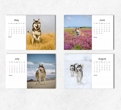 Husky Desk Calendar 2027-2028