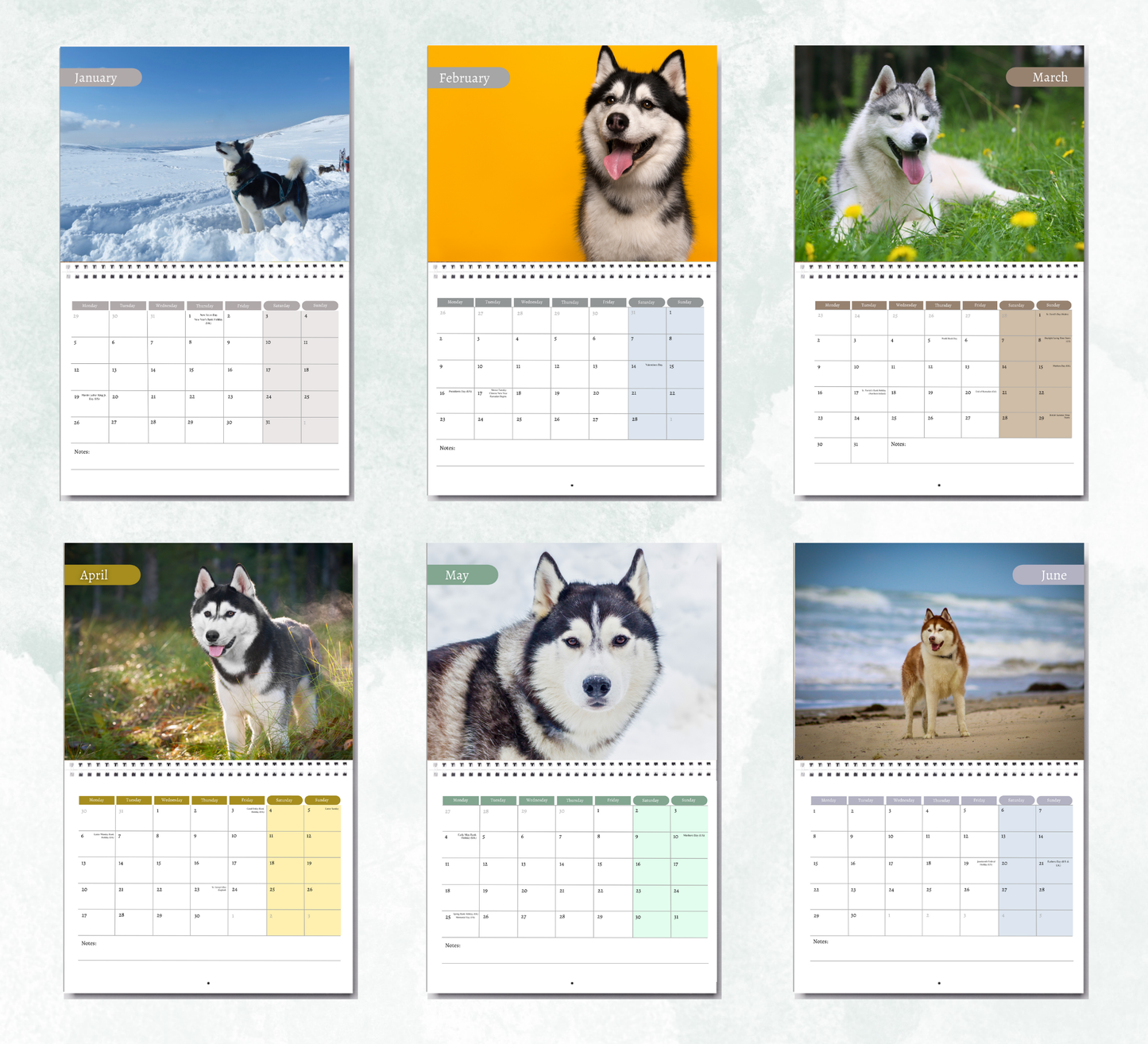 Husky Calendar 2026