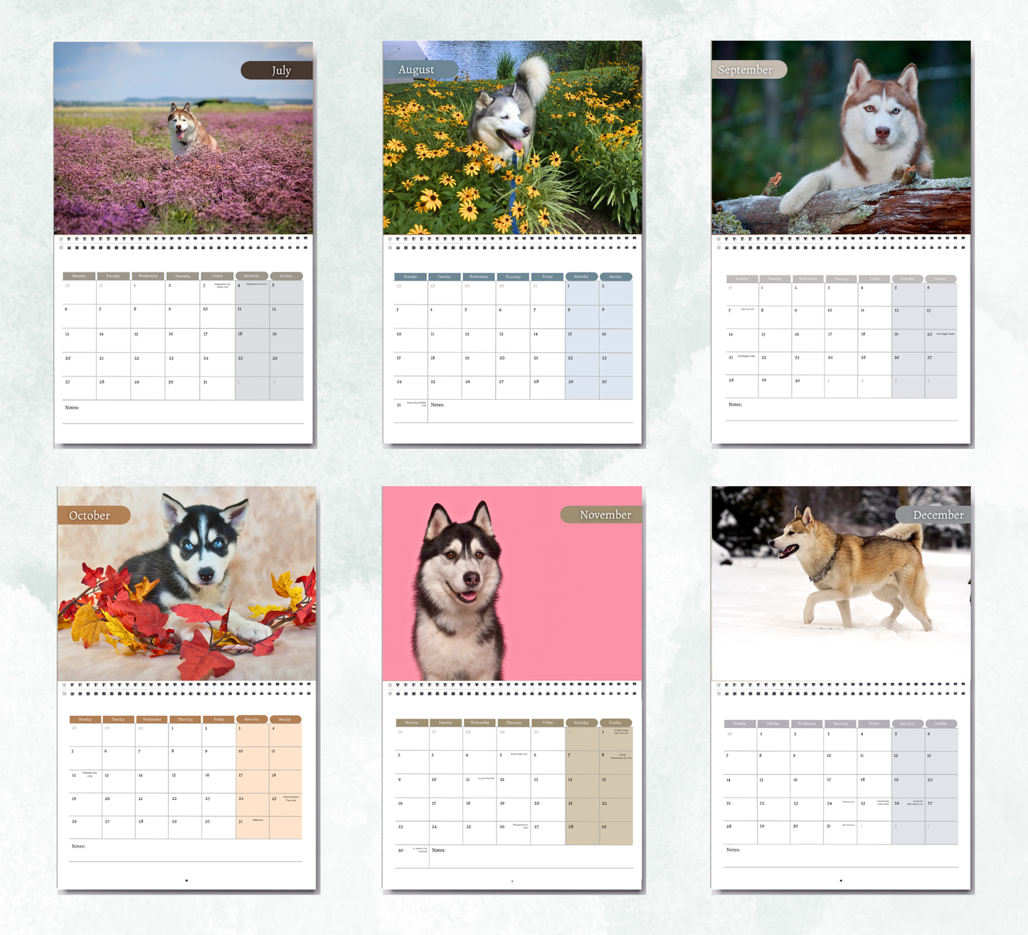 Husky Calendar 2026