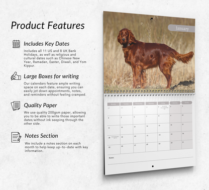 Irish Setter Calendar 2027
