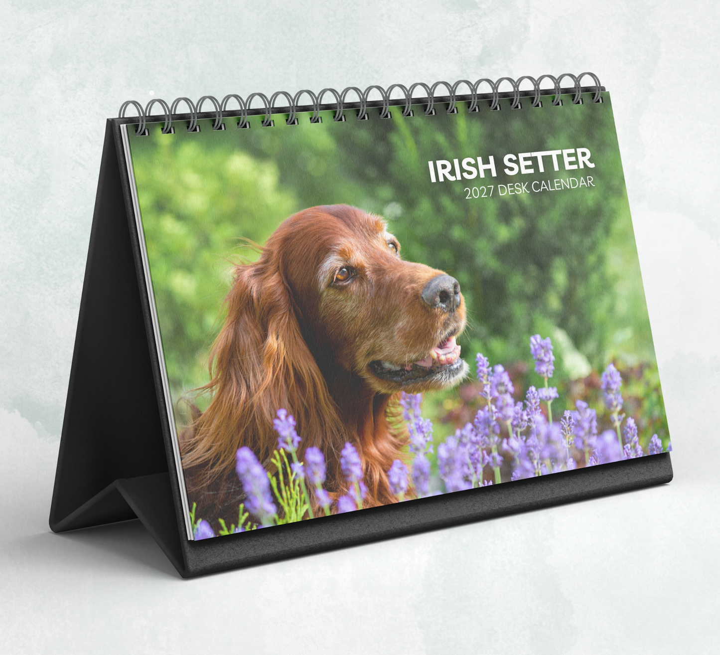 Irish Setter Desk Calendar 2027-2028