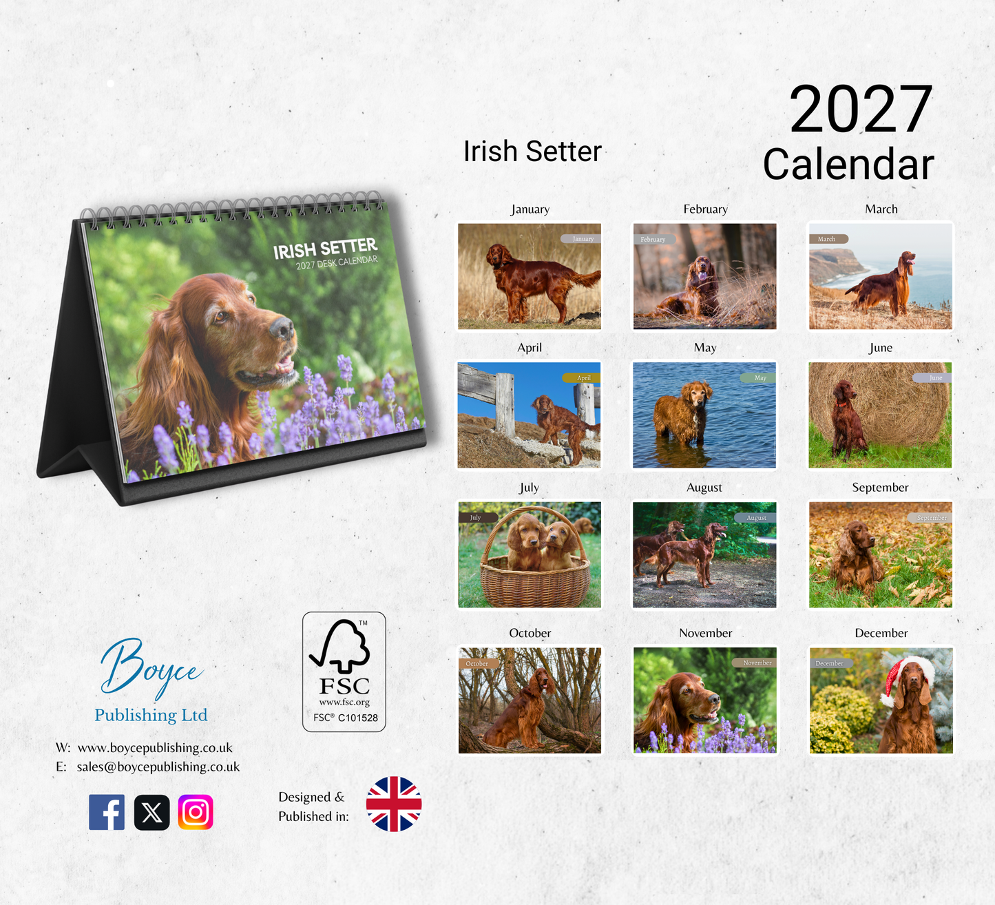 Irish Setter Desk Calendar 2027-2028