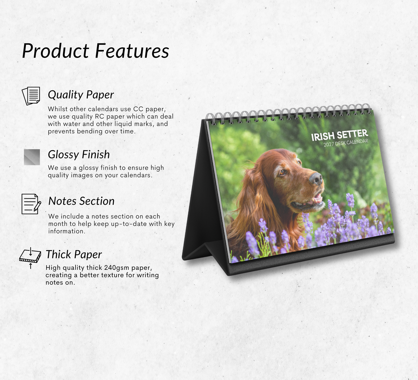 Irish Setter Desk Calendar 2027-2028