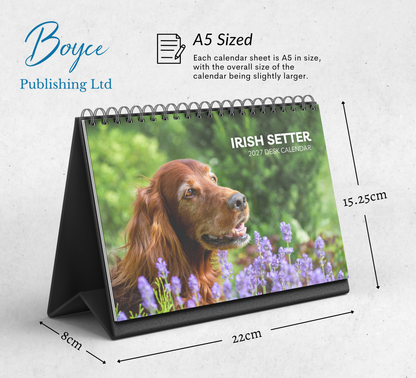 Irish Setter Desk Calendar 2027-2028