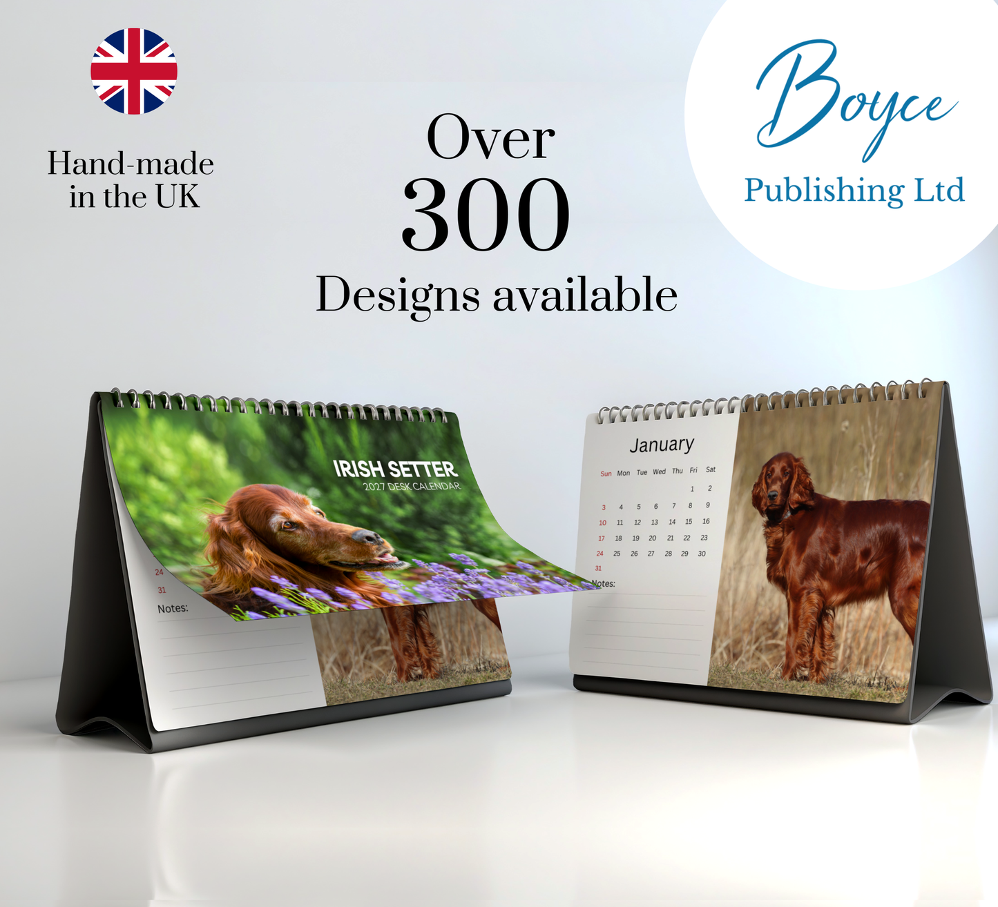 Irish Setter Desk Calendar 2027-2028