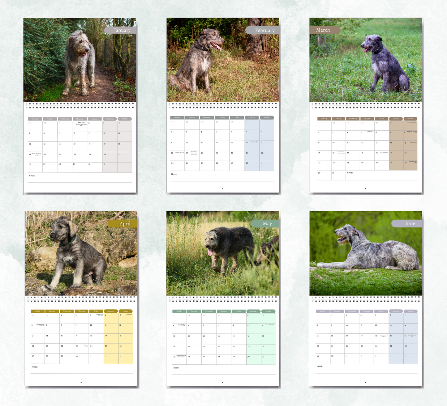 Irish Wolfhound Calendar 2027