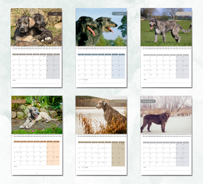 Irish Wolfhound Calendar 2027