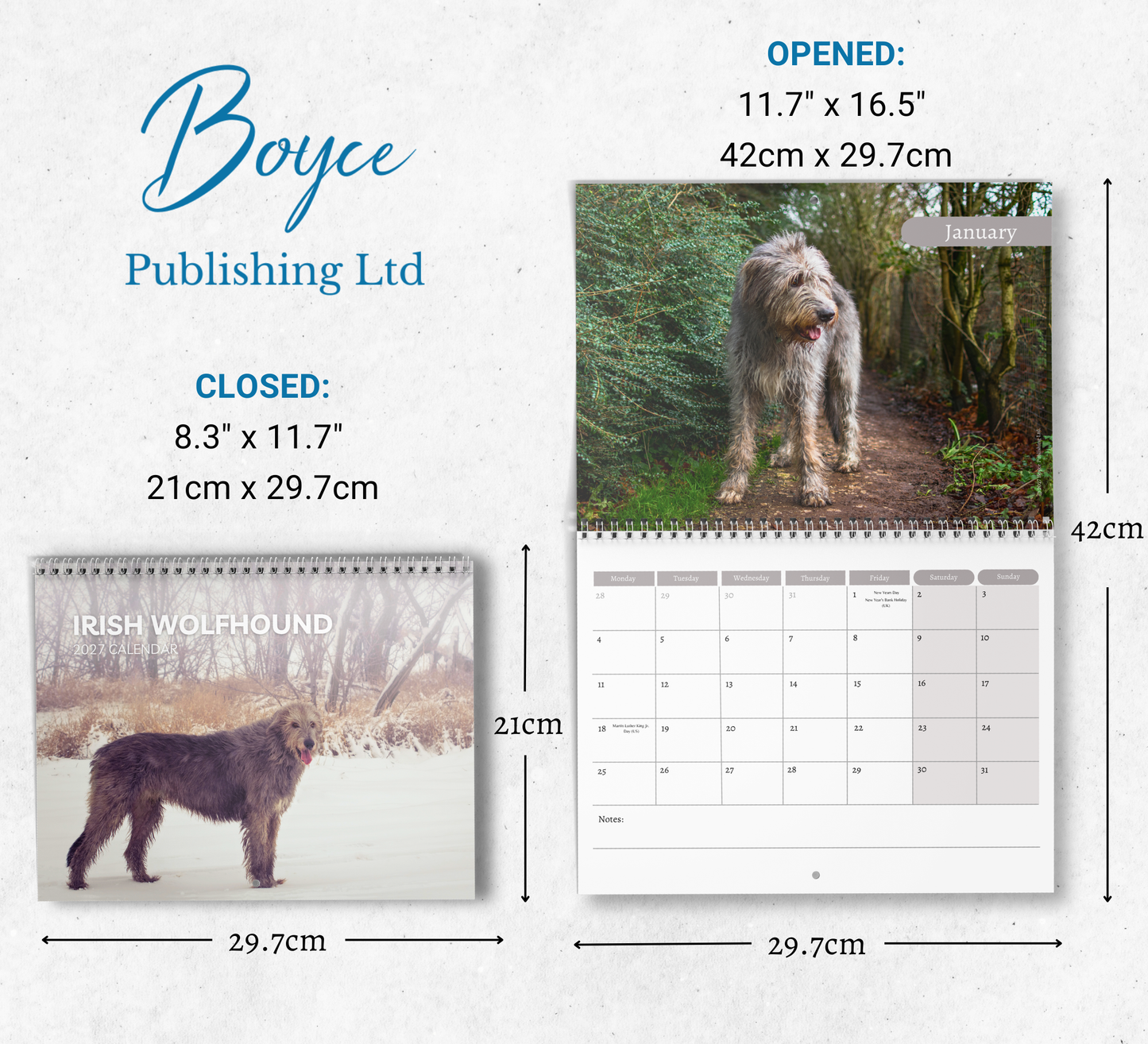 Irish Wolfhound Calendar 2027