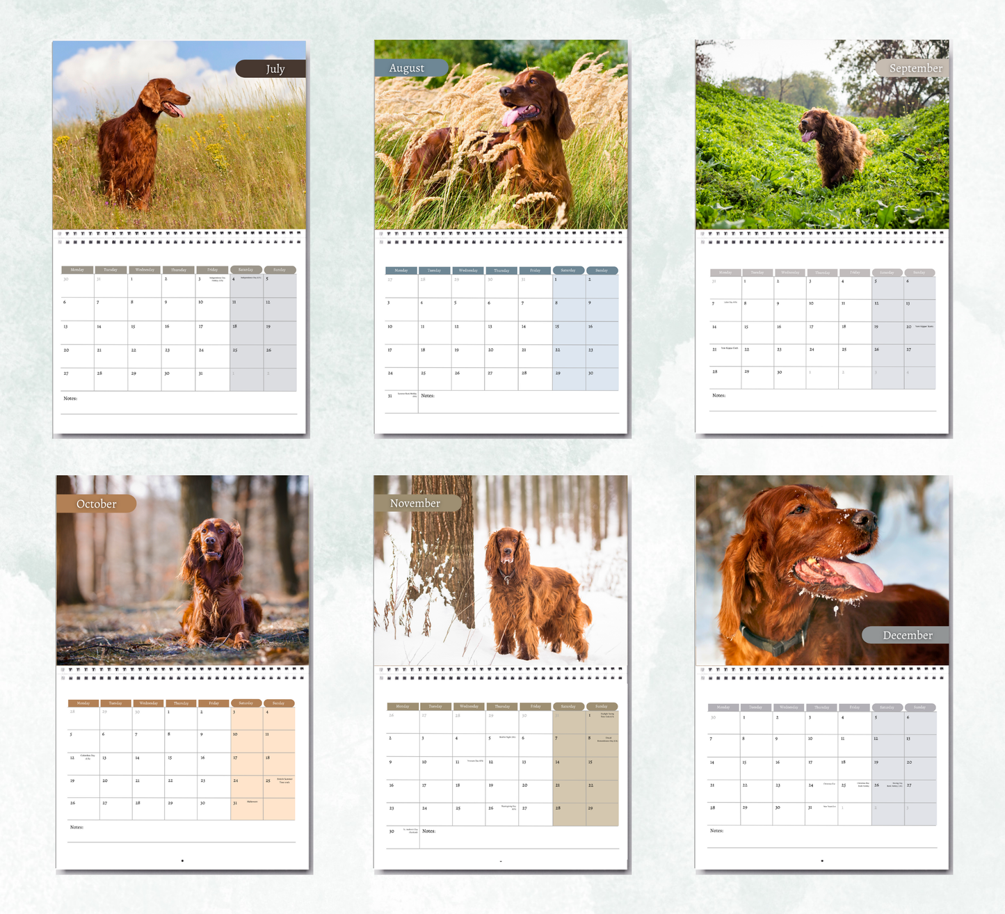 Irish Setter Calendar 2026