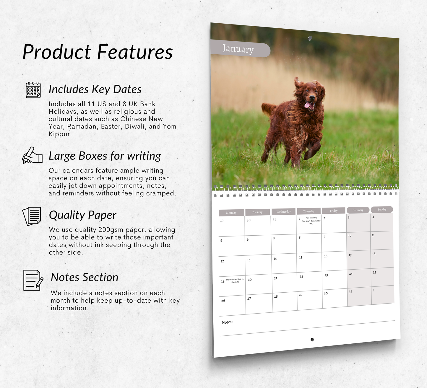 Irish Setter Calendar 2026