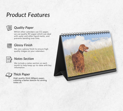 Irish Setter Desk Calendar 2026-2027