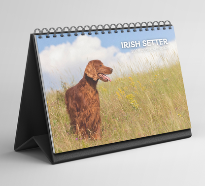 Irish Setter Desk Calendar 2026-2027