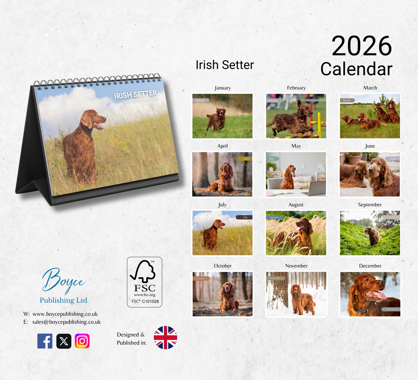 Irish Setter Desk Calendar 2026-2027