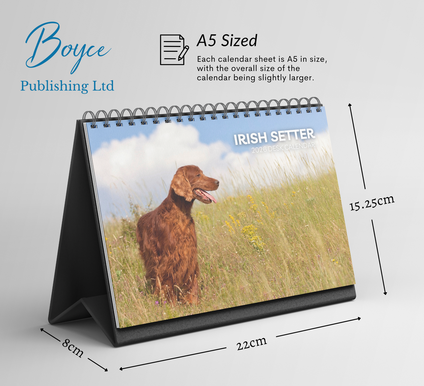 Irish Setter Desk Calendar 2026-2027