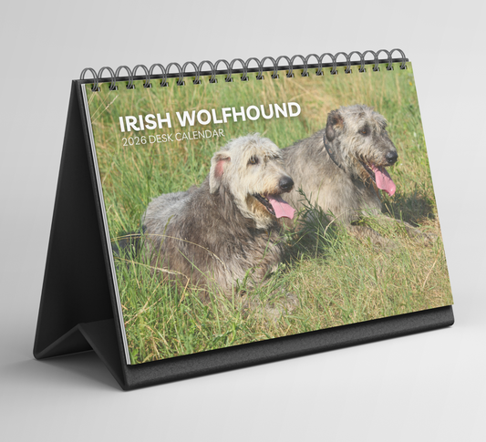 Irish Wolfhound Desk Calendar 2026-2027