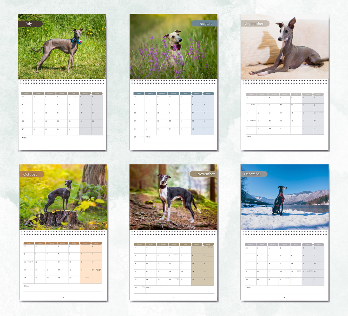 Italian Greyhound Calendar 2027