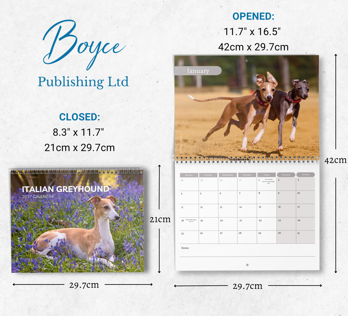 Italian Greyhound Calendar 2027