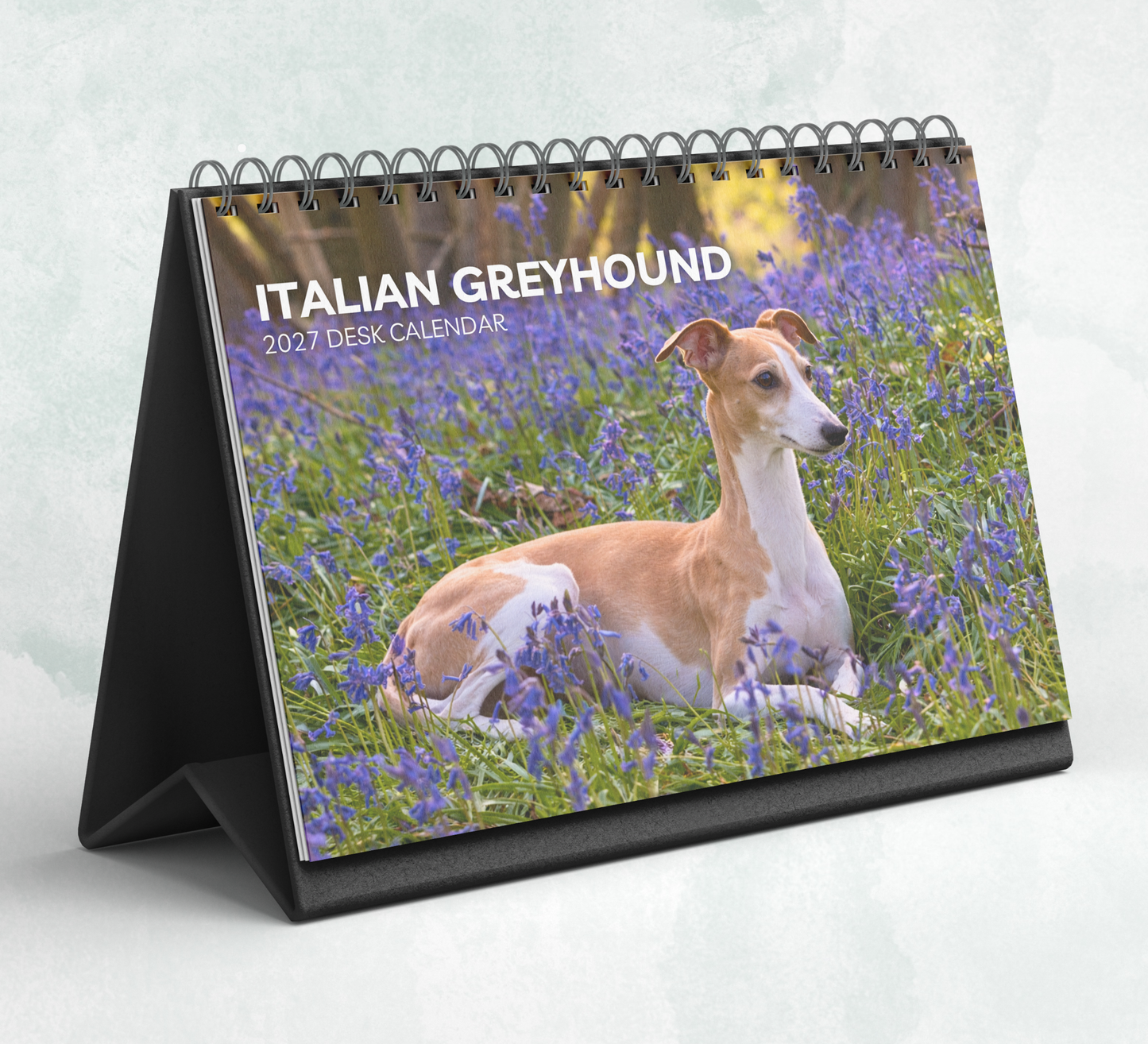 Italian Greyhound Desk Calendar 2027-2028