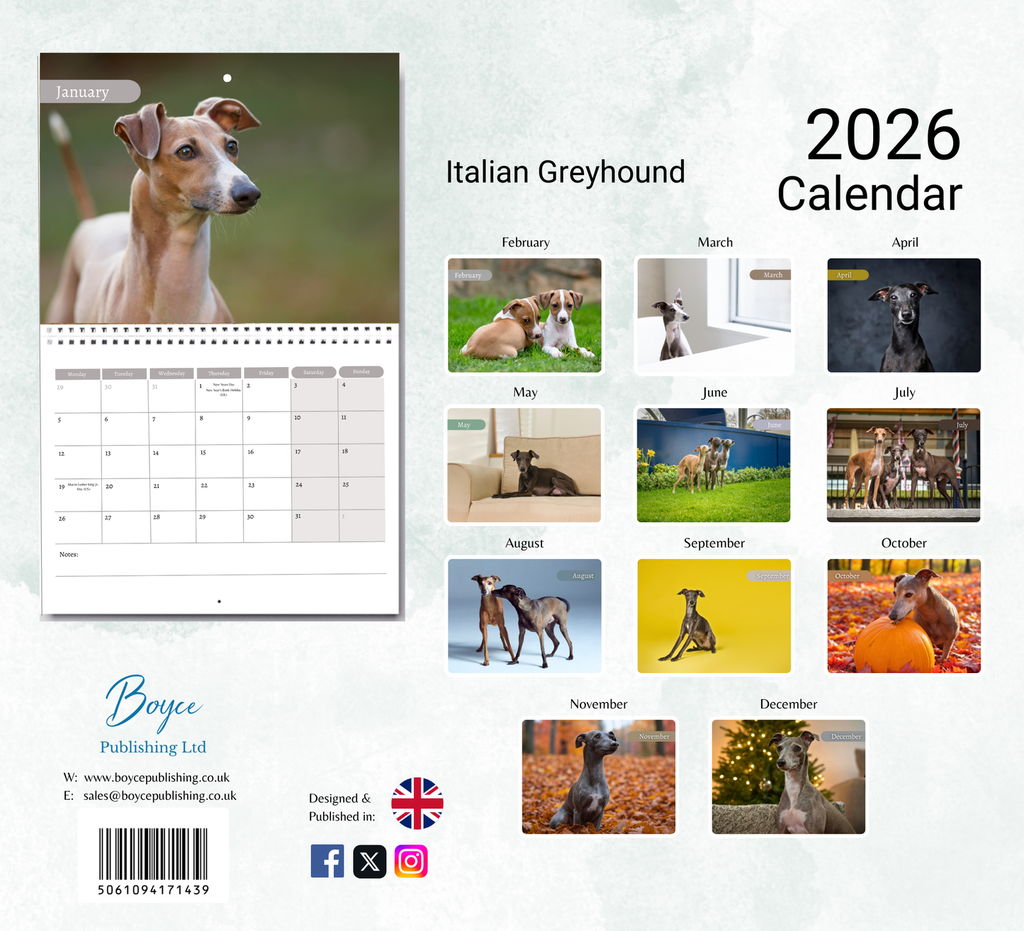 Italian Greyhound Calendar 2026