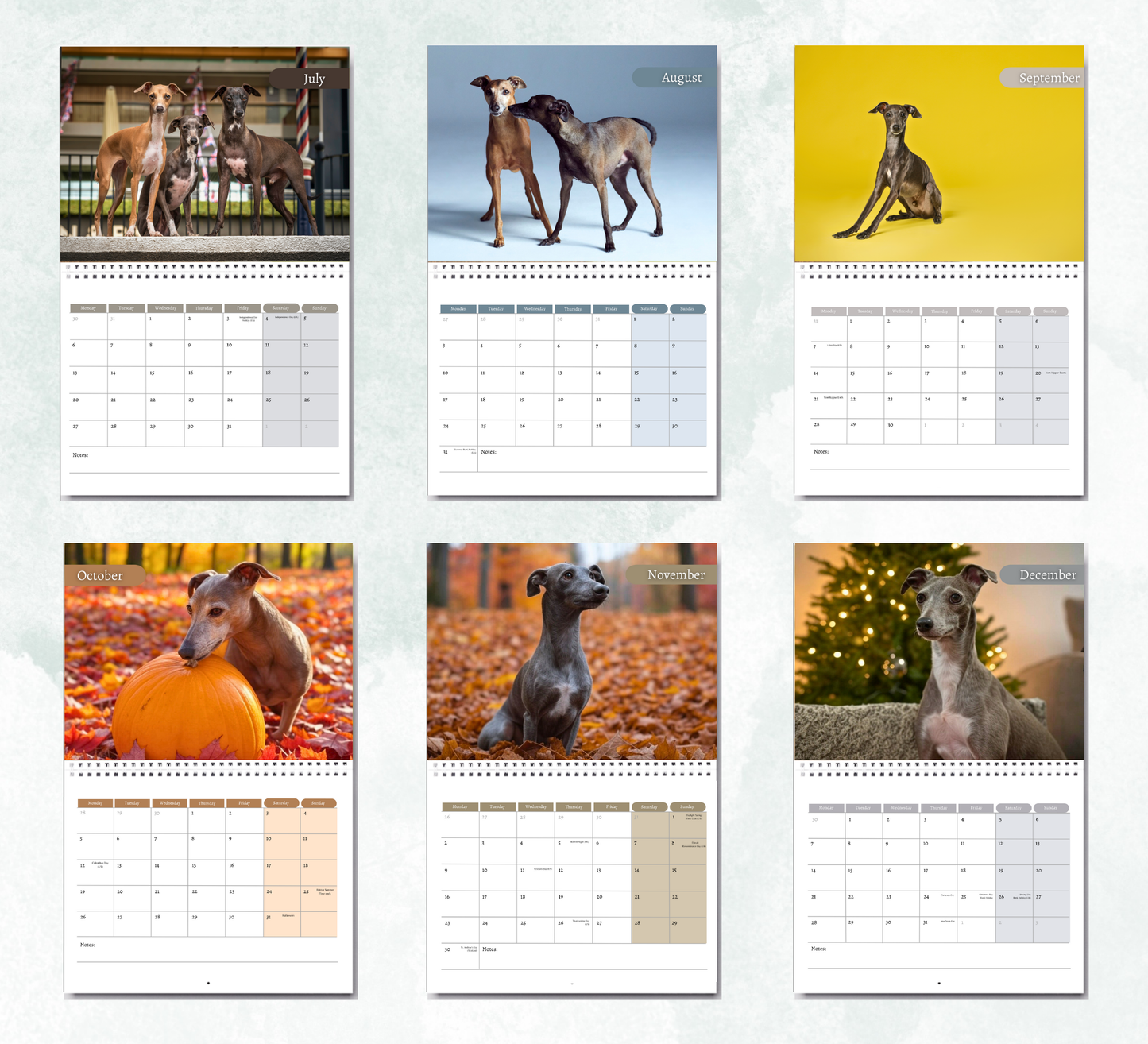 Italian Greyhound Calendar 2026