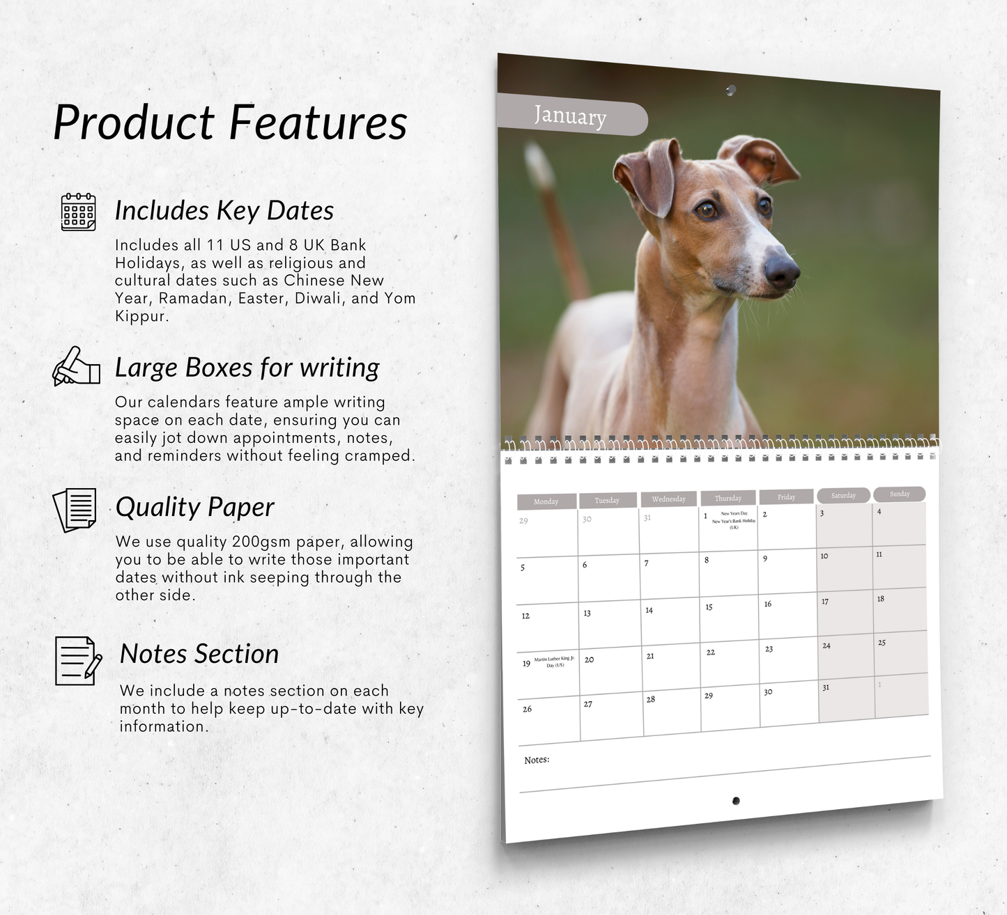 Italian Greyhound Calendar 2026
