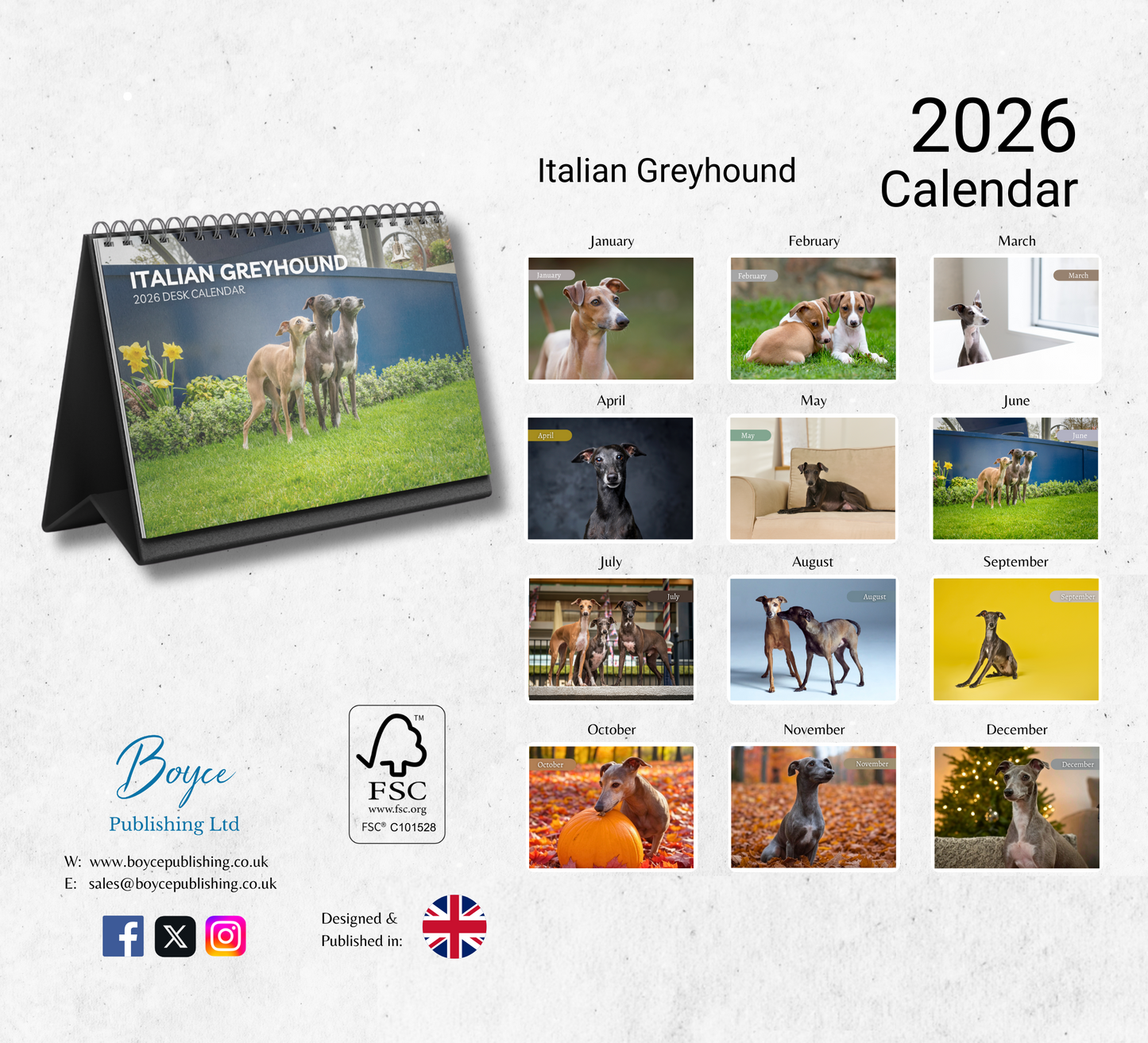 Italian Greyhound Desk Calendar 2026-2027