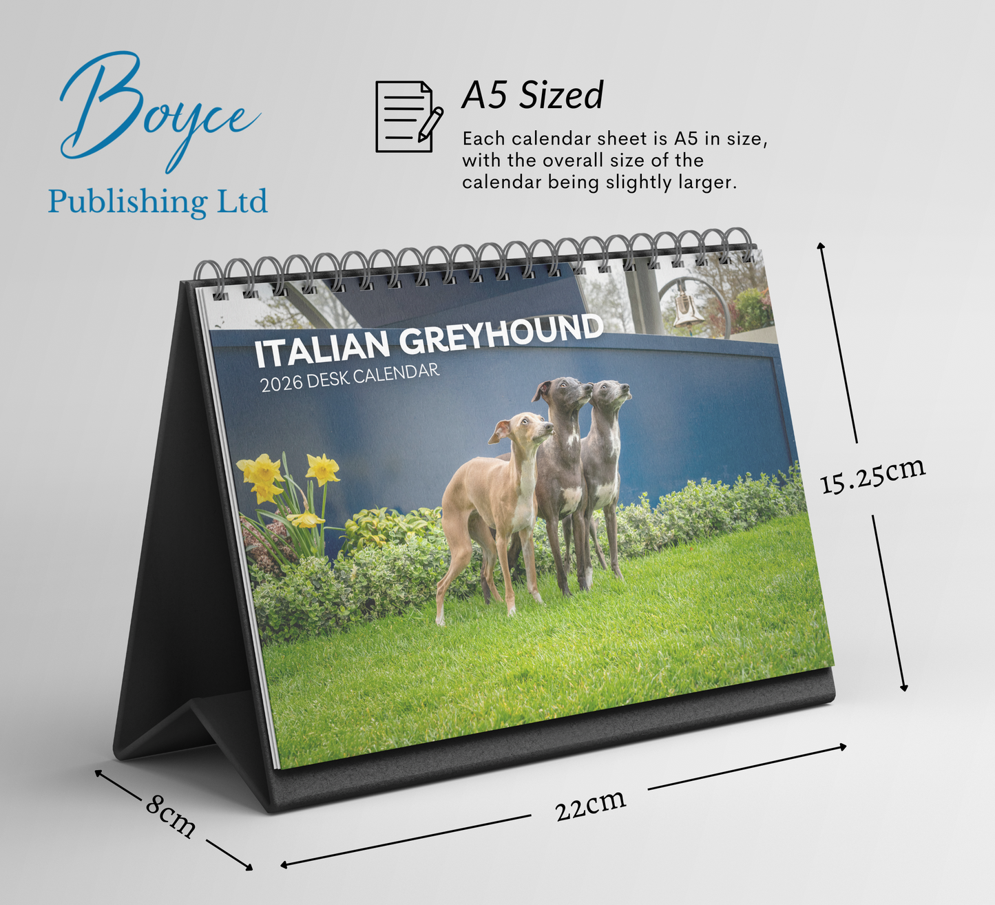 Italian Greyhound Desk Calendar 2026-2027