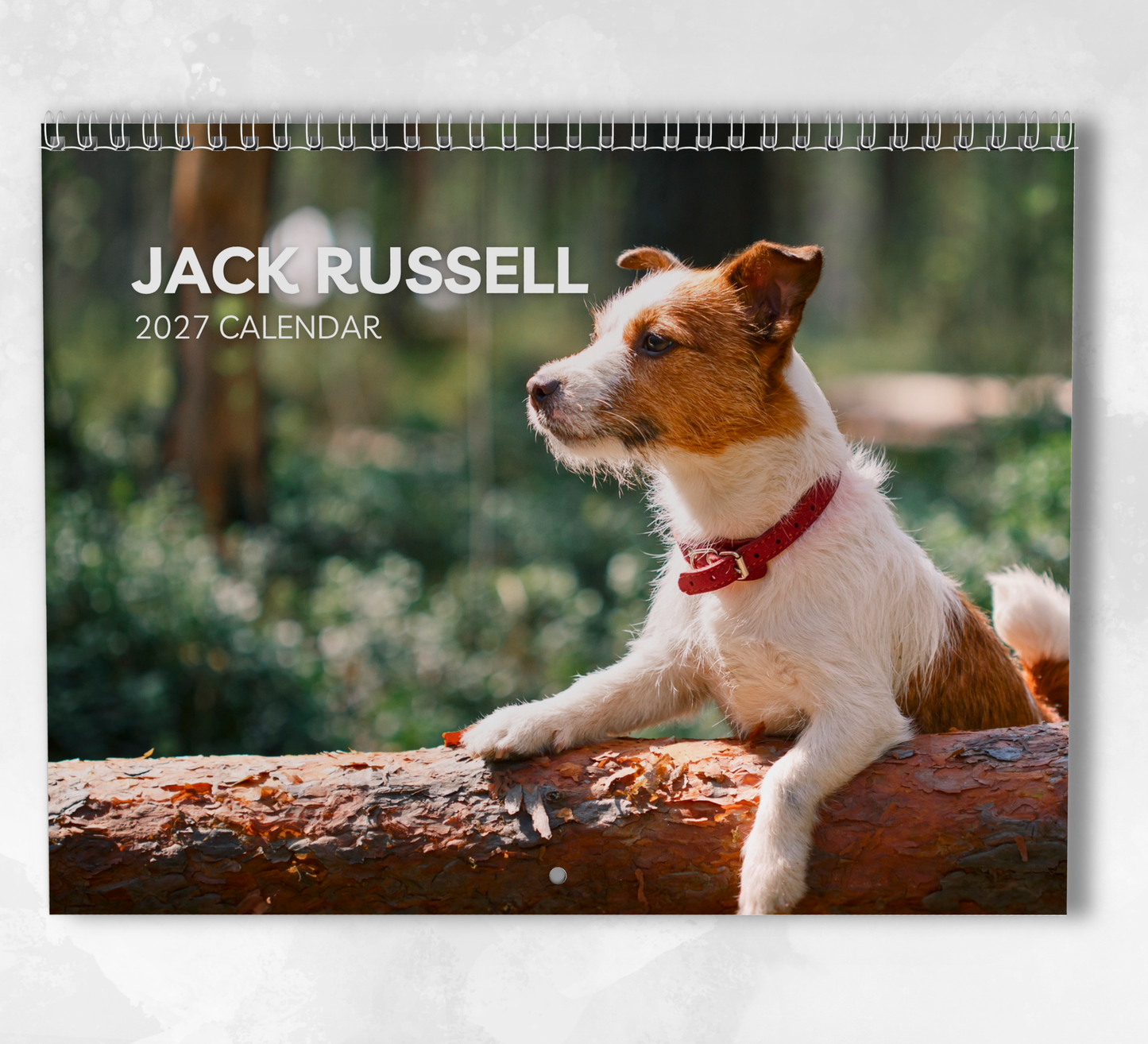 Jack Russell Calendar 2027